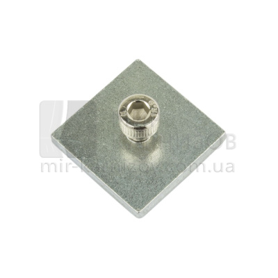 Гвинт + Пластина TOP LINE